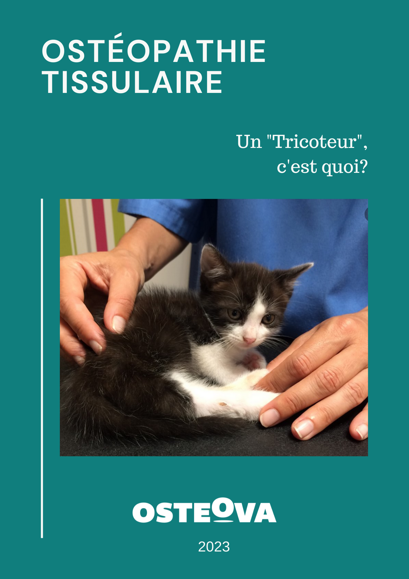 ostéopathie tissulaire