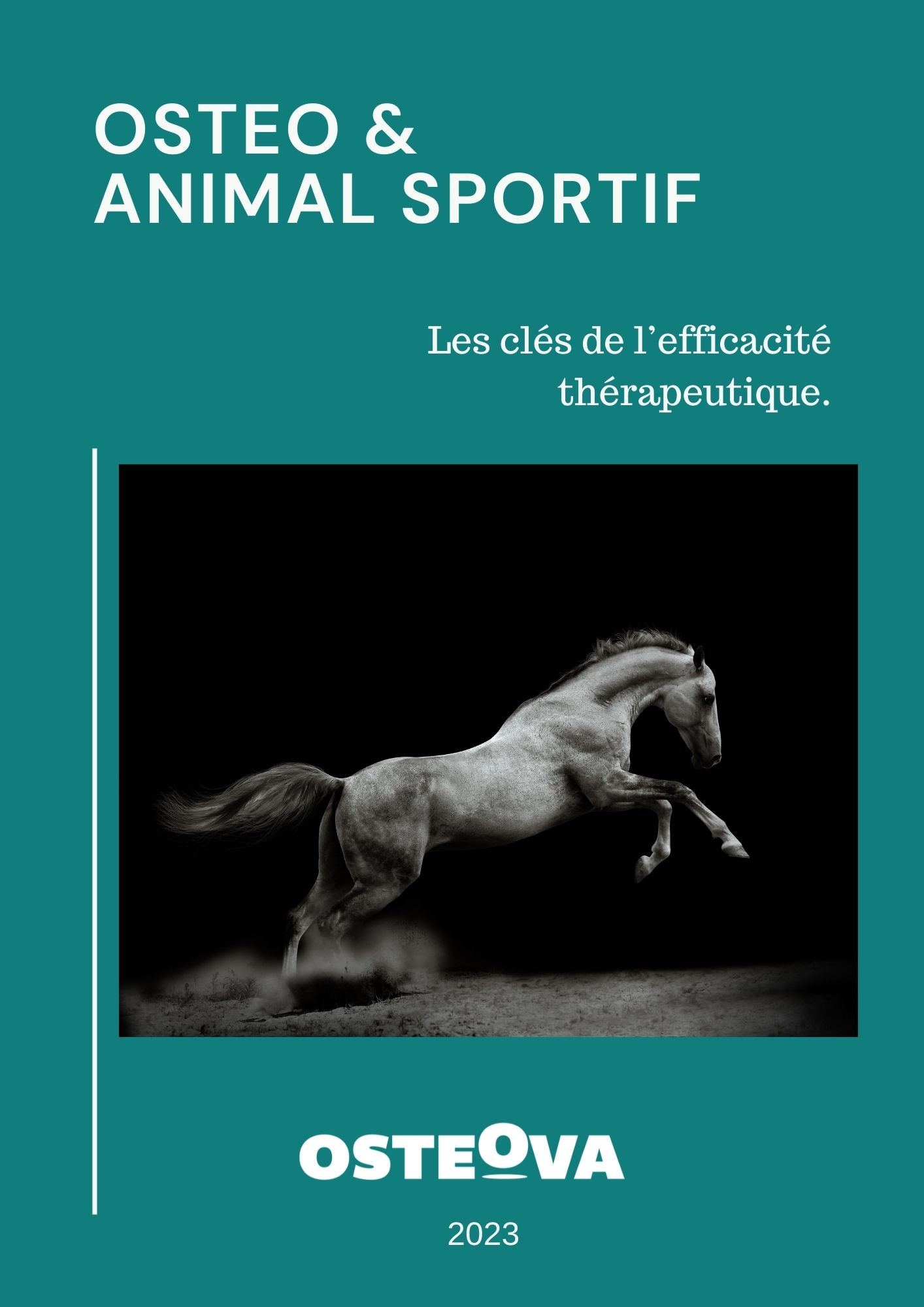 ostéopathie animale sport