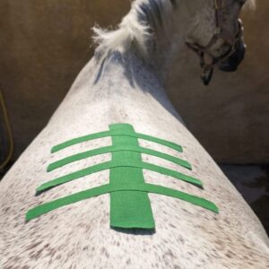 k-taping équin